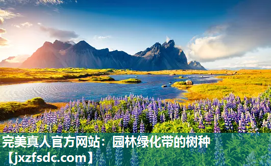 园林绿化带的树种 园林绿化带的树种